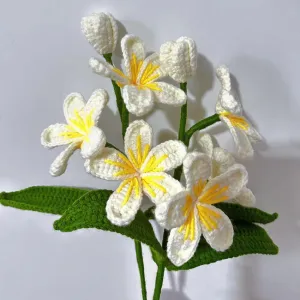 How to Crochet Plumeria