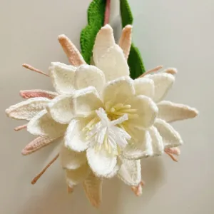 How to Crochet Epiphyllum