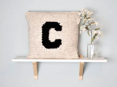 Monogram Letter Accent Pillow