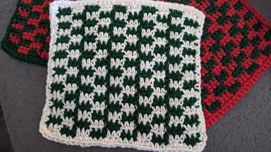 Checkered Dishcloth