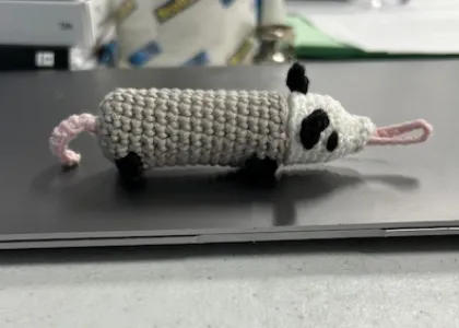 Possum Chapstick Holder