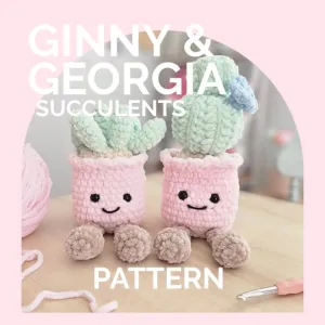 Succulents | CROCHET PATTERN | Ginny & Georgia