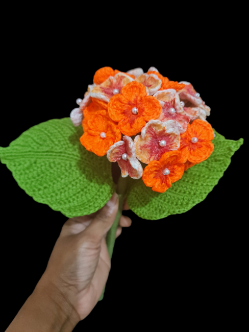 Crocheted Flowers to Wear - Kit 4 - Rosie and Hydrangea flowers