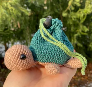 Shelly the dice bag turtle