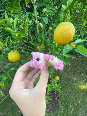 Crochet Rosy Maple Moth, Cute Moth Plush Crochet Pattern