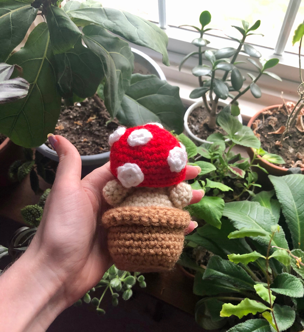 FROGGY MUSHROOM DESK BUDDY ORNAMENT