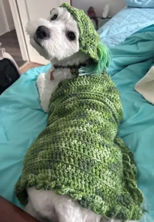 Dill Pickle Dog or Cat Pet Blanket and Hat Crochet Pattern