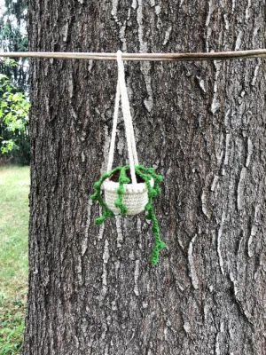 String of Peas Hanging Plant