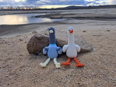 Duck and Pigeon  2 in 1 crochet pattern