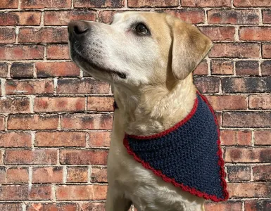 Evening Stroll Reflective   Dog Bandana