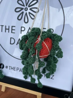 Hanging String of Pearls