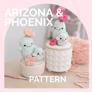 Cactus Succulent | CROCHET PATTERN | Low Sew | Arizona & Phoenix
