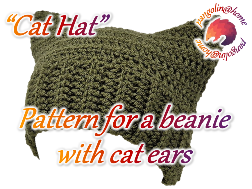 Strawberry cat hat Crochet hat for cat Easy pattern