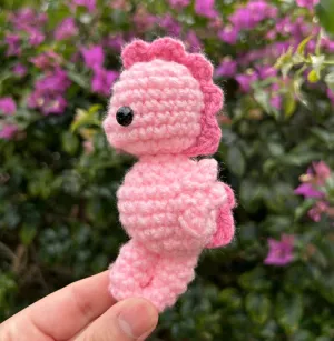 Seahorse