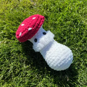 Molly the mushroom (No sew)