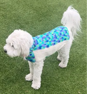 Teddy\'s Sweater  Dog Sweater Crochet Pattern