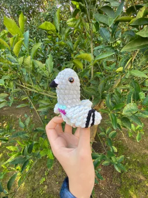 NO-SEW Pigeon Boi Crochet Plush Pattern