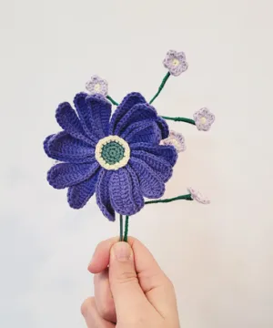 Anemone Blanda Blue flower