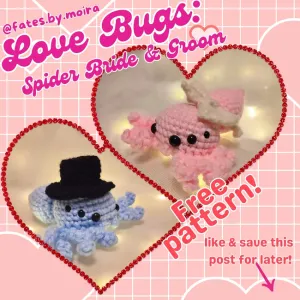 Love Bugs: Spider Bride & Groom