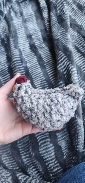 Little Chicken