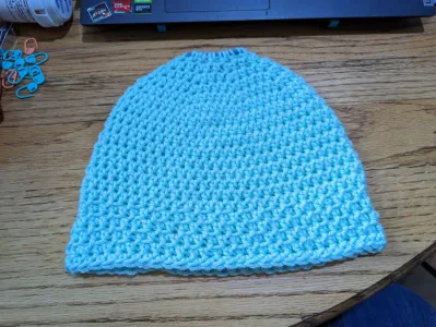 Simple Pony Tail Beanie