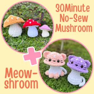 Mushroom Bundle!