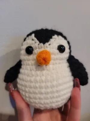 Baby penguin