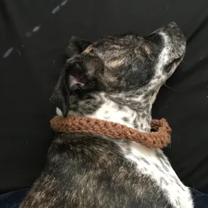 Easy Dog Collar!