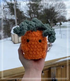 Carrot Buddy (No-Sew)