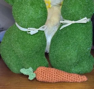 Crochet Carrot