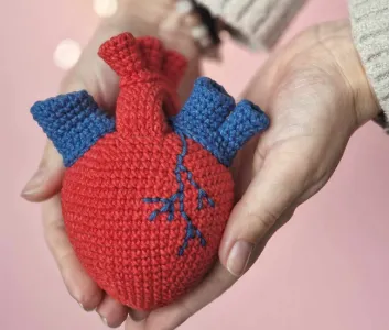 Crochet anatomical heart amigurumi pattern