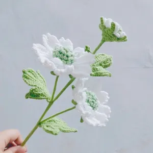 How to Crochet Scabiosa Comosa