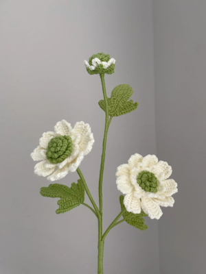 How to Crochet Scabiosa Comosa