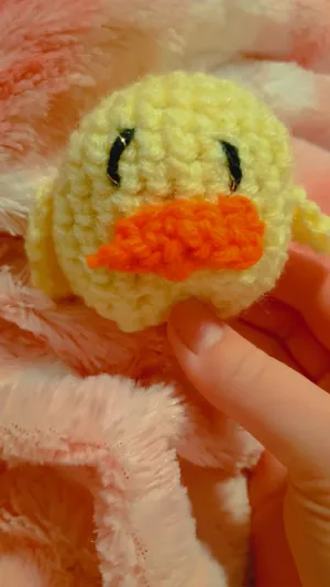 Silly crochet duck pattern FREE