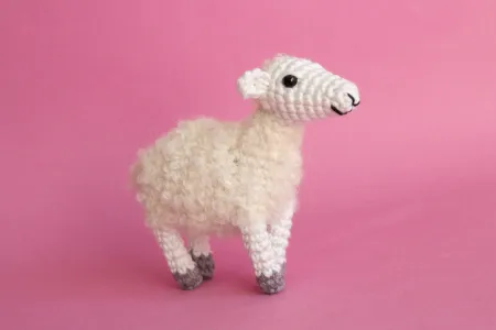 Shelly the Sheep