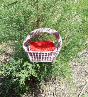 Berry Basket Bag