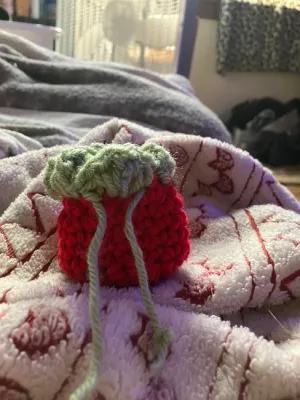 Strawberry coin bag