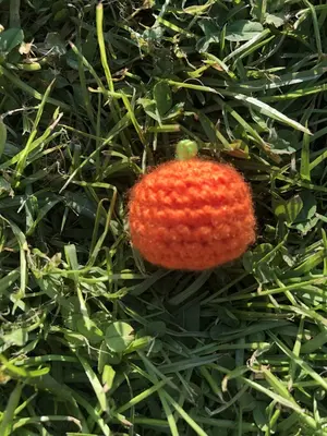 Mini Orange