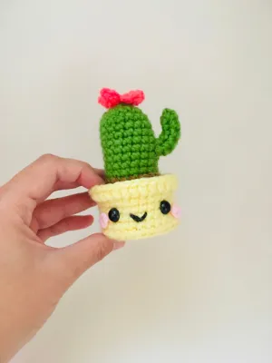 Cutie Cactus