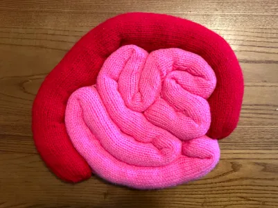 Intestine Pillow