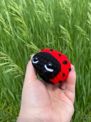 Lil Lady Bug