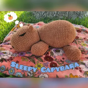 Sleepy Capybara Pattern