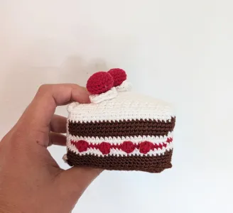 Black Forest Cake Slice