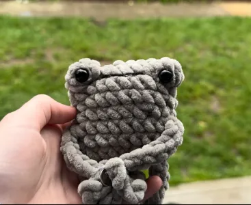 Derpy frog- NO SEW