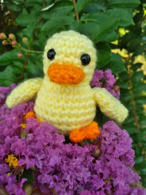 NO-SEW little Duckling