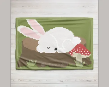 Sleepy Bunny C2C Blanket