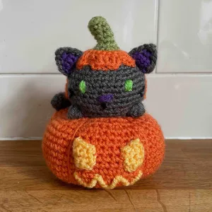 Cat In A Pumpkin Amigurumi Pattern