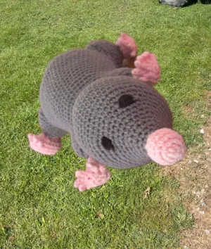 Mr. Mole