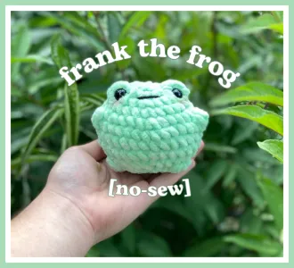 [no-sew] frank the frog