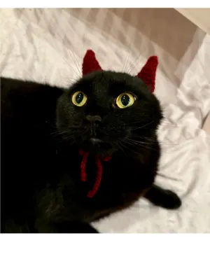 [Halloween] Devil Horns Cat Headband